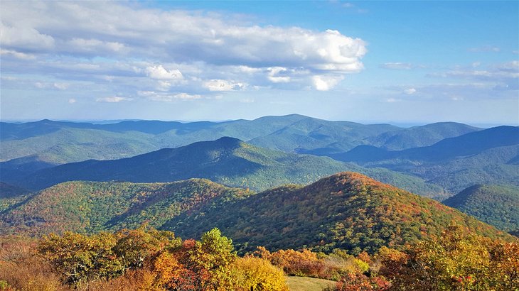 Bosque Nacional Chattahoochee