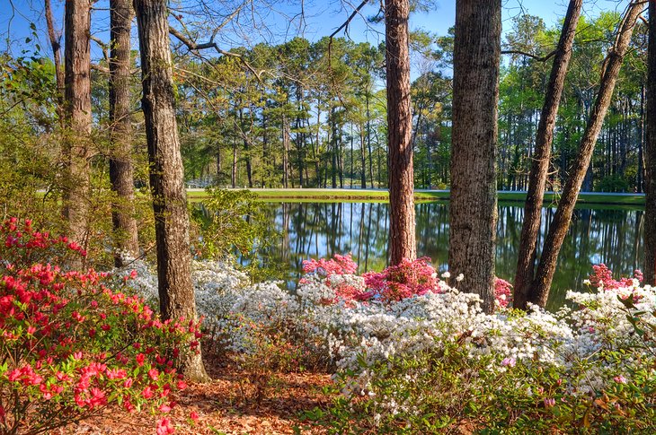 jardines callaway