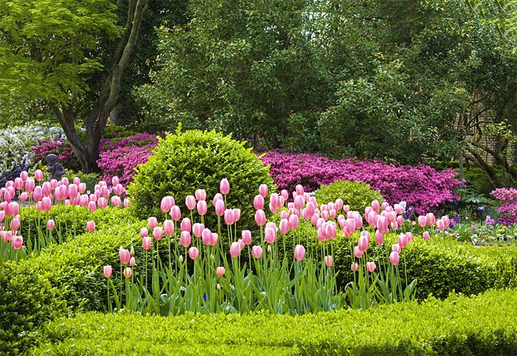 Casa Nathaniel Russell y Casa Aiken-Rhett