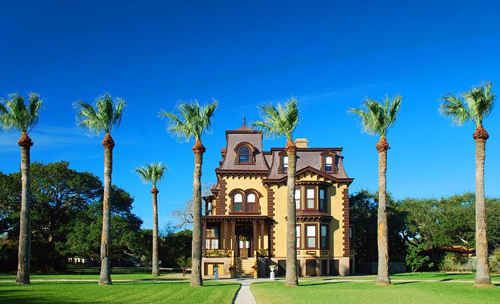 Excursiones de un día desde Corpus Christi