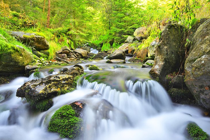 Arroyo en el Parque Nacional de Šumava