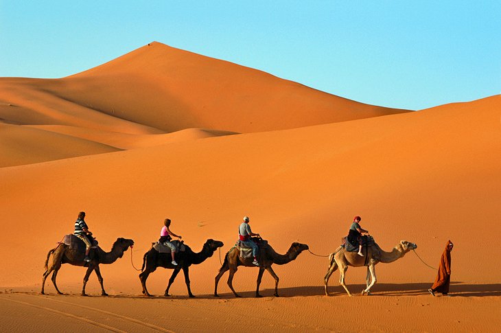 Paseos en camello por Erg Chebbi
