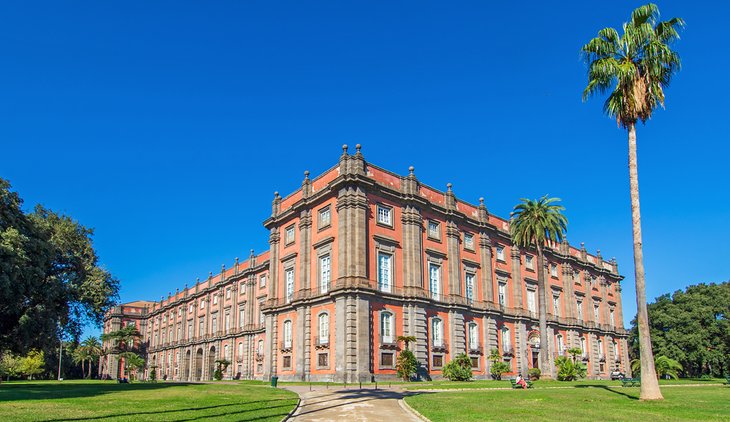 Museo y Palacio Real de Capodimonte