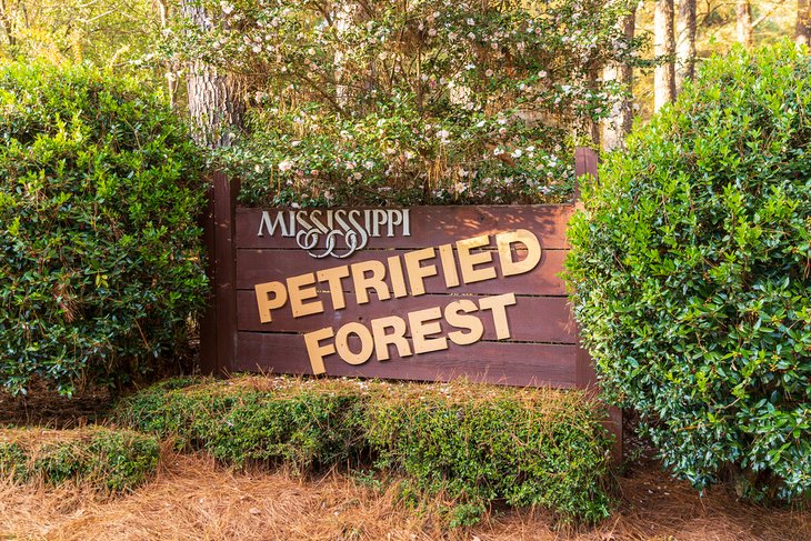 Bosque Petrificado de Misisipi