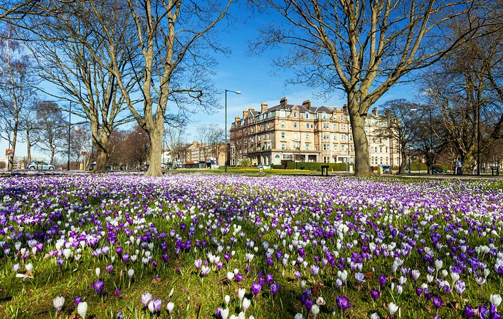 Harrogate: el complejo floral de Gran Bretaña