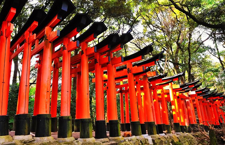 Santuario Fushimi-Inari Taisha