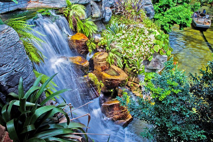 Plantas tropicales en los jardines del Gaylord Opryland Resort