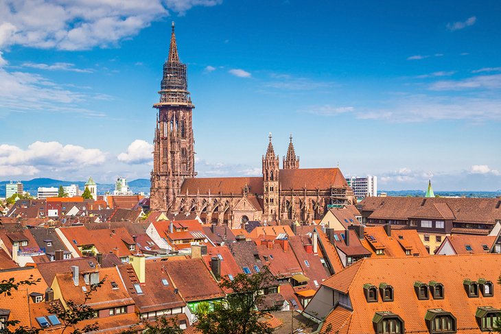 Friburgo de Brisgovia Münster