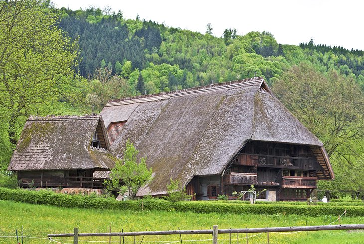 Museo al aire libre de la Selva Negra