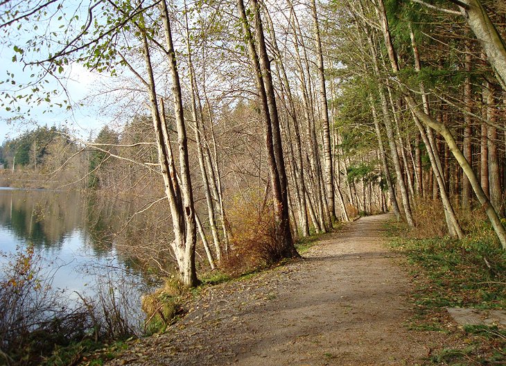 Parque del lago Padden