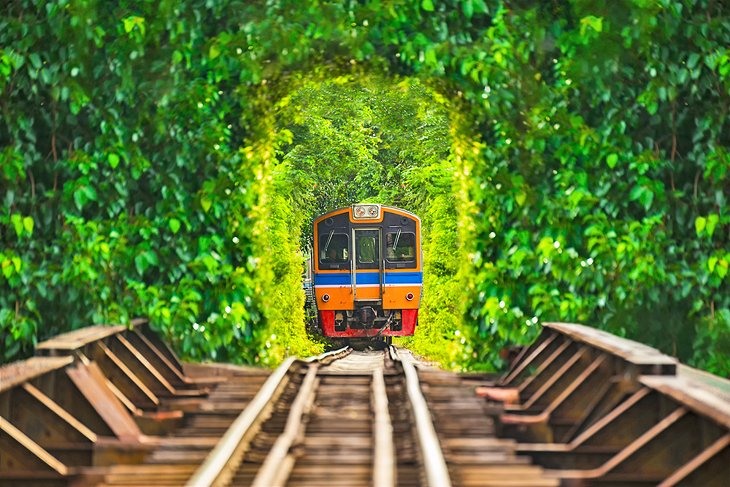 Un tren en Tailandia que viaja a través de un exuberante túnel.