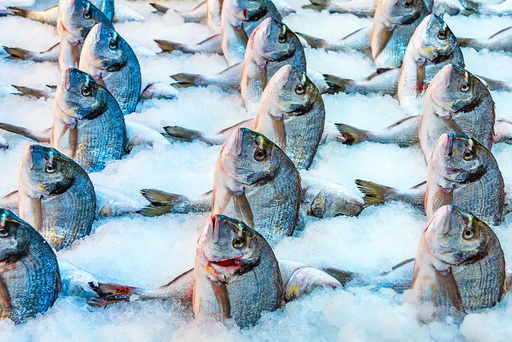 Pescado a la venta en el mercado Varvakios Agora