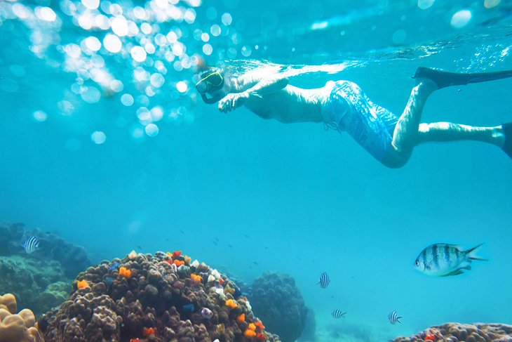 Snorkel en Vietnam