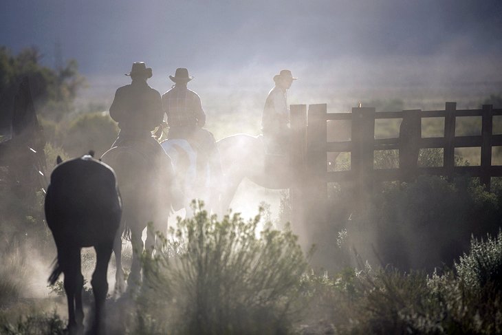 Excursión de un día a Bandera