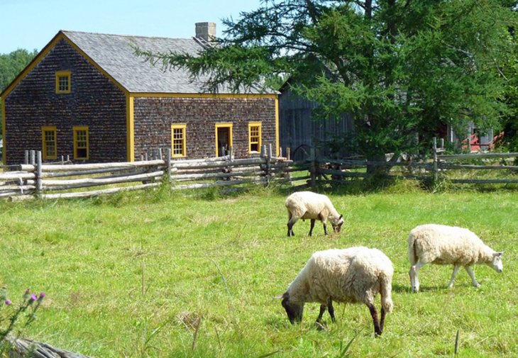 Pueblo Histórico Acadien