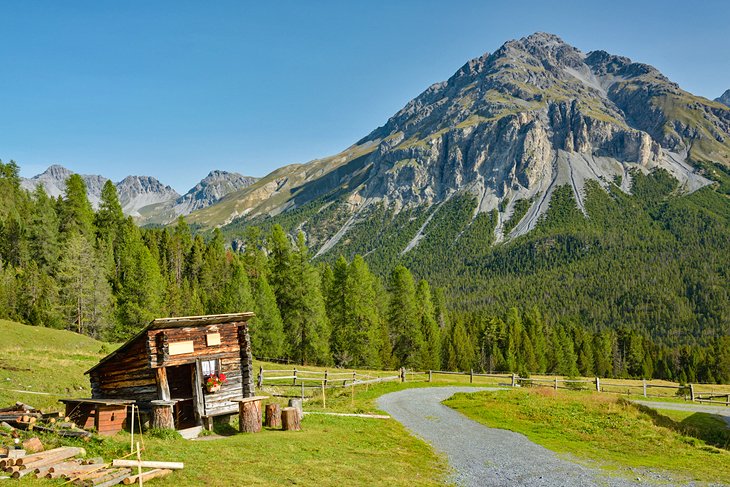 Ruta de senderismo en el Parque Nacional Suizo