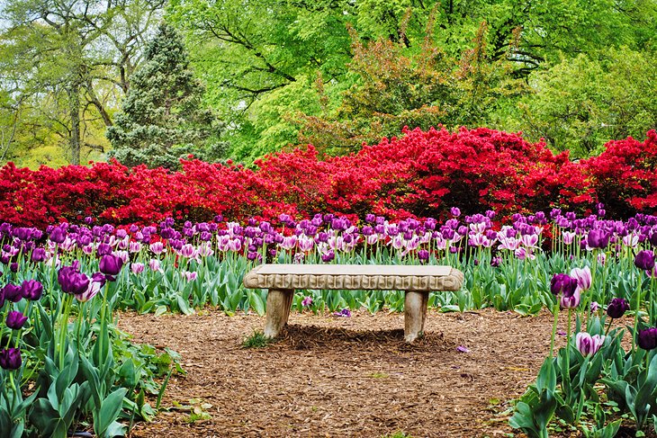 jardines de sherwood