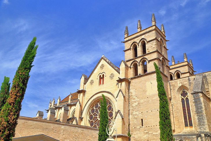 Catedral de San Pedro