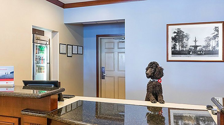 Fuente de la foto: Staybridge Suites Distrito histórico de Savannah