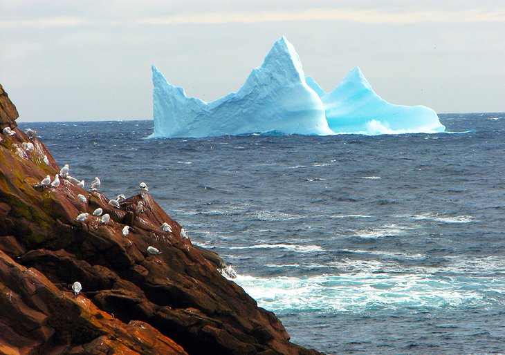 Iceberg frente a la costa de Terranova