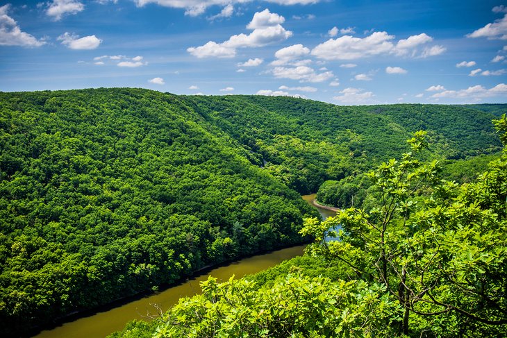 Parque Nacional Podyji