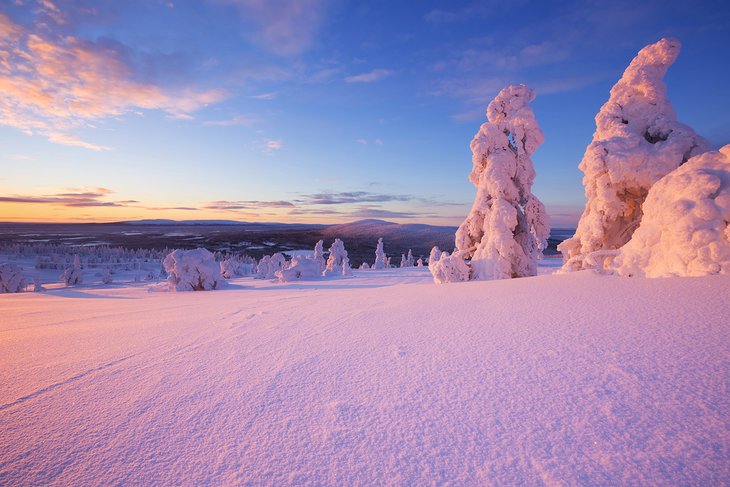 Árboles congelados al atardecer en Levi, Finlandia