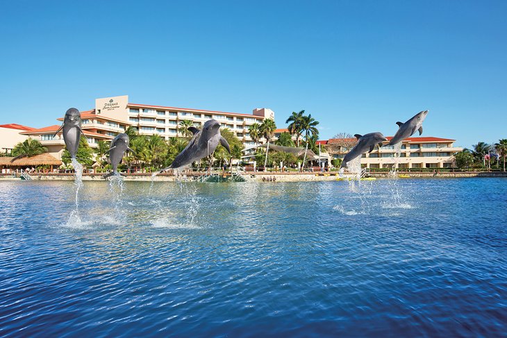 Fuente de la foto: Dreams Puerto Aventuras Resort & Spa